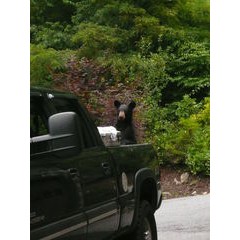 Miscellaneous Charges